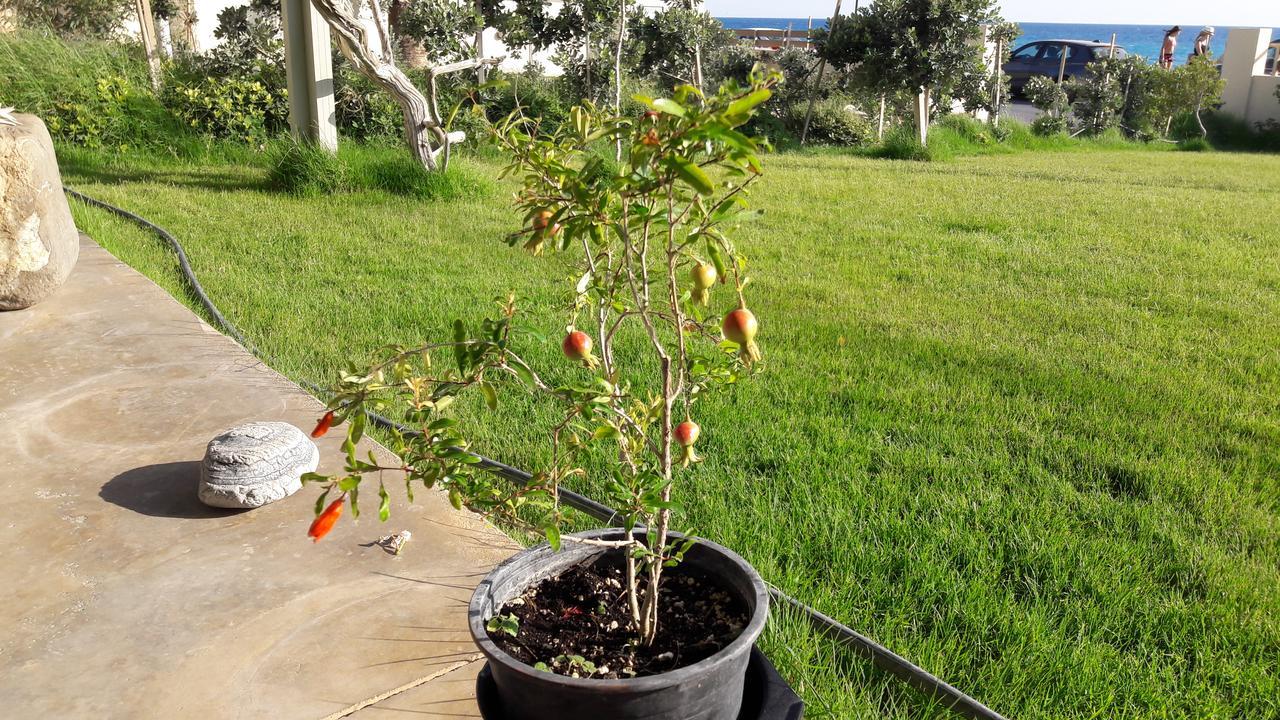 קוקינוס פירגוס Rodia Beach Suites מראה חיצוני תמונה